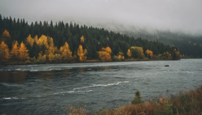 outdoors,sky,day,cloud,water,tree,no humans,cloudy sky,grass,nature,scenery,forest,rock,mountain,road,river,landscape,lake,fog,grey sky,overcast