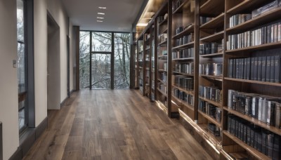 day,indoors,tree,book,no humans,window,sunlight,scenery,forest,wooden floor,stairs,door,bookshelf,shelf,bare tree,library,hallway,reflective floor,snow,winter,floor,ceiling,ceiling light