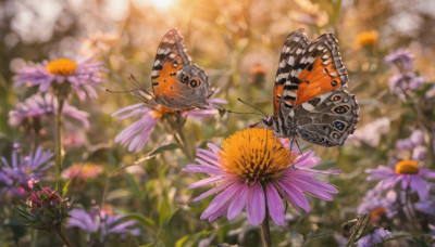 flower, outdoors, day, blurry, no humans, depth of field, blurry background, animal, bug, butterfly, scenery, realistic, purple flower