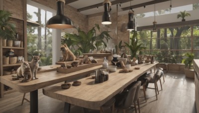 day,indoors,tree,cup,no humans,window,animal,chair,table,sunlight,cat,bottle,plant,scenery,plate,drinking glass,bowl,wooden floor,basket,potted plant,lamp,teapot,stool,shelf,jar,ceiling light,wooden table,wooden chair