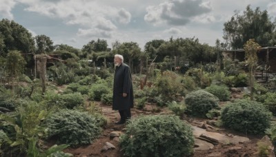 solo,long sleeves,1boy,standing,white hair,male focus,outdoors,sky,day,cloud,tree,coat,facial hair,cloudy sky,plant,building,nature,scenery,motor vehicle,forest,black coat,ruins,old,old man,overgrown,1girl,looking at viewer,closed mouth,grey hair,black footwear,rock,bush,wide shot