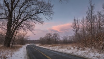 outdoors,sky,day,cloud,tree,blue sky,no humans,cloudy sky,grass,nature,scenery,snow,forest,sunset,road,winter,bare tree,evening,landscape,gradient sky,pine tree,signature,water,river,path