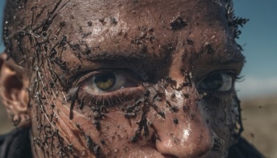 solo,looking at viewer,open mouth,1boy,yellow eyes,male focus,outdoors,multiple boys,teeth,day,blurry,depth of field,blurry background,animal,close-up,realistic,black hair,brown eyes,sky,blue sky,no humans,portrait,brown theme,desert