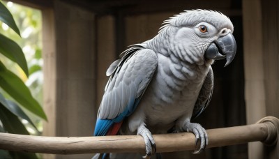 HQ,solo,looking at viewer,closed mouth,wings,indoors,blurry,orange eyes,no humans,depth of field,blurry background,bird,animal,feathers,plant,realistic,animal focus,owl,talons,beak,outdoors,leaf,railing,parrot