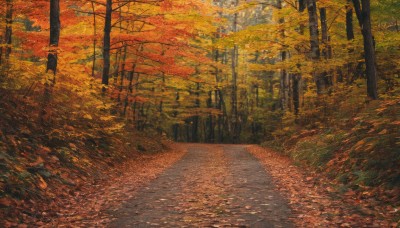 1girl,solo,hat,standing,outdoors,day,tree,dutch angle,leaf,traditional media,sunlight,grass,nature,scenery,forest,road,autumn leaves,autumn,path,signature,no humans,orange theme,pavement