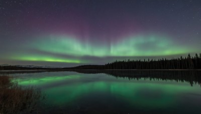 outdoors,sky,cloud,water,tree,no humans,night,grass,star (sky),nature,night sky,scenery,forest,starry sky,reflection,mountain,river,landscape,lake,aurora