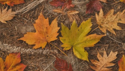 solo,no humans,leaf,traditional media,scenery,painting (medium),autumn leaves,maple leaf,autumn,abstract,tree,from above,nature