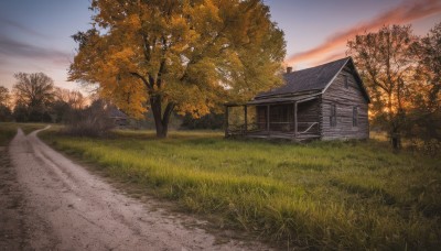 outdoors,sky,day,cloud,tree,blue sky,no humans,grass,building,nature,scenery,forest,sunset,mountain,road,field,house,autumn,evening,gradient sky,path,window,fence,door,bush,twilight