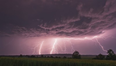 outdoors,sky,cloud,tree,no humans,cloudy sky,grass,nature,scenery,electricity,lightning,purple sky,monochrome,ocean,sunset,horizon,field,landscape