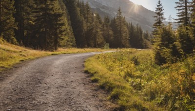 outdoors,sky,day,signature,tree,blue sky,no humans,sunlight,grass,nature,scenery,forest,mountain,sun,road,field,landscape,path,cloud,mountainous horizon