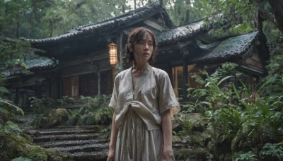 1girl,solo,looking at viewer,short hair,brown hair,shirt,dress,brown eyes,standing,white shirt,short sleeves,outdoors,day,white dress,tree,lips,wet,leaf,plant,nature,scenery,forest,lantern,stairs,realistic,arms at sides,architecture,east asian architecture,parted lips,looking to the side,looking away,sunlight,paper lantern