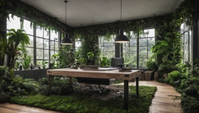 day,indoors,tree,no humans,window,chair,table,sunlight,grass,plant,scenery,desk,potted plant,lamp,ruins,moss,overgrown,ceiling light