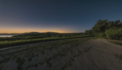 outdoors,sky,cloud,tree,no humans,night,grass,star (sky),nature,night sky,scenery,forest,starry sky,sunset,road,landscape,hill,water,ocean,horizon,river,evening,gradient sky,path