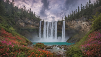 flower, outdoors, sky, cloud, water, tree, no humans, cloudy sky, grass, nature, scenery, forest, rock, mountain, river, waterfall, landscape