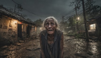 solo,open mouth,shirt,1boy,upper body,grey hair,male focus,outdoors,sky,teeth,sleeveless,cloud,water,vest,tree,wet,facial hair,parody,ground vehicle,building,motor vehicle,rain,realistic,car,road,old,power lines,lamppost,dirty,old man,puddle,old woman,1girl,looking at viewer,short hair,blue eyes,white hair,night,scenery,lantern,house,street,utility pole,town,wrinkled skin