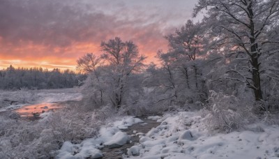 outdoors,sky,cloud,tree,no humans,cloudy sky,grass,nature,scenery,snow,forest,sunset,winter,bare tree,evening,landscape,gradient sky,orange sky,pine tree,water,ice,snowing,river