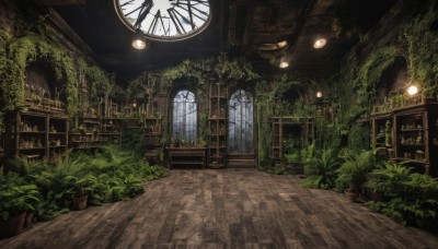 indoors,no humans,window,chair,sunlight,plant,scenery,wooden floor,stairs,door,clock,bookshelf,potted plant,light,lamp,vines,ceiling,arch,overgrown,table,shelf,wall clock