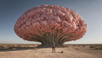 1girl,solo,long hair,short hair,blonde hair,brown hair,shirt,long sleeves,standing,jacket,pantyhose,outdoors,sky,day,pants,tree,blue sky,shadow,animal,blue shirt,scenery,monster,wide shot,desert,oversized animal,eldritch abomination,skirt,thighhighs,holding,white shirt,short sleeves,shoes,sand