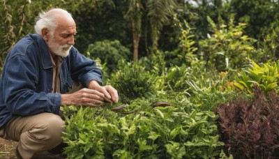 solo,short hair,shirt,1boy,sitting,jacket,closed eyes,white hair,male focus,outdoors,open clothes,day,pants,blurry,open jacket,tree,facial hair,plant,blue jacket,nature,beard,sleeves rolled up,forest,mature male,realistic,mustache,brown pants,old,old man,photo background,wrinkled skin,denim jacket,long sleeves,closed mouth,boots,from side,profile,blurry background,leaf,parody,squatting,grass,denim,jeans,manly