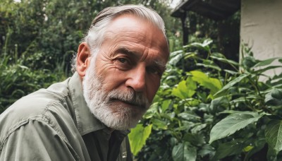 solo,looking at viewer,short hair,shirt,1boy,closed mouth,jacket,upper body,white hair,male focus,outdoors,day,collared shirt,artist name,signature,blurry,black eyes,black shirt,blurry background,facial hair,leaf,thick eyebrows,plant,portrait,beard,realistic,mustache,manly,old,old man,wrinkled skin,tree,depth of field,scar,nature,scar on face,grey jacket