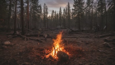 weapon,outdoors,sky,sword,cloud,tree,no humans,cloudy sky,fire,nature,scenery,forest,ruins,bare tree,burning,campfire,rock,mountain