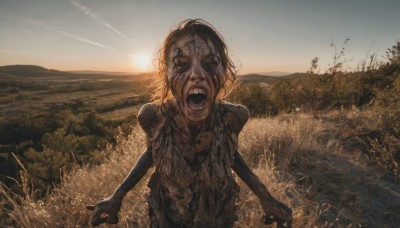 1girl,solo,open mouth,black hair,closed eyes,outdoors,sky,teeth,tree,grass,nature,scenery,sunset,realistic,sun,field,horror (theme),screaming,looking at viewer,short hair,blood,messy hair,facing viewer,monster,blood on face,grey skin,zombie,undead