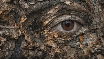 solo,no humans,from above,traditional media,scenery,reflection,science fiction,rock,crack,debris,eye focus,rubble,1girl,looking at viewer,black hair,1boy,close-up,stone