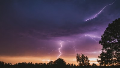 outdoors,sky,cloud,tree,no humans,night,cloudy sky,star (sky),nature,night sky,scenery,forest,starry sky,sunset,electricity,lightning,gradient sky,purple sky,twilight