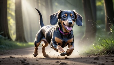 HQ,solo,open mouth,blue eyes,full body,outdoors,day,tongue,tongue out,blurry,collar,tree,no humans,depth of field,blurry background,animal,sunlight,grass,nature,forest,walking,running,dog,light rays,realistic,animal focus,looking at viewer,brown eyes,teeth,plant,dappled sunlight,animal collar,fleeing,blue collar,pet