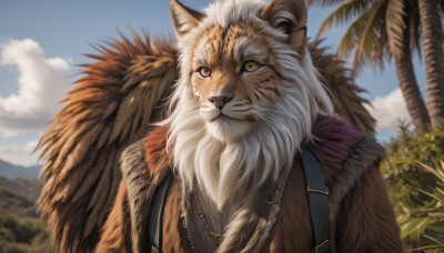 solo,brown eyes,jewelry,closed mouth,upper body,outdoors,sky,day,cloud,necklace,blurry,tree,blue sky,no humans,depth of field,blurry background,animal,plant,palm tree,animal focus,whiskers,tiger,yellow eyes