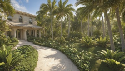 outdoors,sky,day,cloud,tree,blue sky,no humans,window,shadow,sunlight,grass,plant,building,nature,scenery,palm tree,door,road,bush,shade,house,path,cloudy sky,forest,stairs,pillar,arch,garden