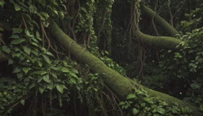 outdoors,tree,no humans,animal,leaf,traditional media,plant,nature,scenery,light particles,forest,branch,vines,green theme,moss,signature,dark,ivy