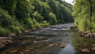 outdoors,day,water,tree,no humans,grass,nature,scenery,forest,rock,bush,river,landscape,stream,sky,sunlight,plant