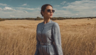 1girl,solo,short hair,brown hair,long sleeves,dress,jewelry,standing,earrings,outdoors,sky,day,belt,cloud,dark skin,hair bun,blue sky,lips,sunglasses,cloudy sky,scenery,realistic,grey dress,field,breasts,shirt,closed mouth,upper body,coat,looking to the side,makeup,single hair bun,lipstick,arms at sides