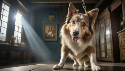 HQ,blue eyes,day,tongue,indoors,tongue out,no humans,window,chain,animal,table,sunlight,plant,curtains,scenery,dog,light rays,potted plant,animal focus,picture frame,painting (object),picture (object),looking at viewer,wooden floor,realistic,sunbeam