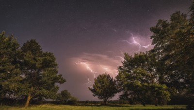 outdoors,sky,cloud,tree,no humans,night,cloudy sky,grass,star (sky),nature,night sky,scenery,forest,starry sky,electricity,lightning,purple sky,dark,landscape