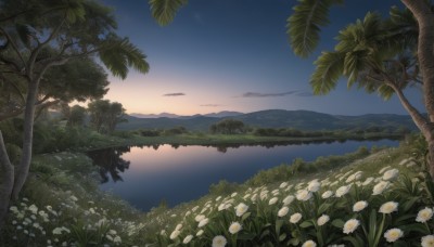 flower,outdoors,sky,cloud,water,tree,no humans,night,grass,plant,white flower,star (sky),nature,night sky,scenery,forest,starry sky,reflection,sunset,mountain,palm tree,horizon,river,evening,landscape,lake,ocean,twilight,gradient sky,sunrise