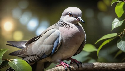 HQ,outdoors,wings,blurry,tree,orange eyes,pokemon (creature),no humans,depth of field,blurry background,bird,animal,leaf,feathers,realistic,branch,animal focus,talons,beak,solo,looking at viewer,open mouth,standing,full body,plant