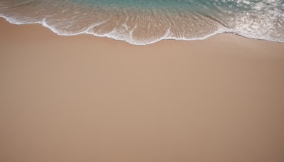 solo,simple background,outdoors,water,no humans,ocean,beach,scenery,close-up,brown background,sand,waves,shore