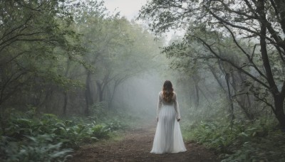 1girl,solo,long hair,brown hair,black hair,long sleeves,dress,standing,outdoors,from behind,white dress,tree,see-through,plant,nature,scenery,forest,arms at sides,facing away,bush,day,grass,wide shot