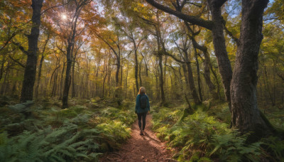 1girl, solo, blonde hair, standing, jacket, outdoors, day, pants, bag, from behind, tree, sunlight, backpack, grass, nature, scenery, forest, walking, road, autumn leaves, wide shot, autumn, path