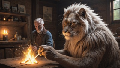 1boy,sitting,jacket,white hair,male focus,food,indoors,blurry,window,facial hair,animal,table,fire,blue jacket,beard,candle,bald,old,old man,picture frame,whiskers,tiger,painting (object),lion,fireplace,shirt,closed mouth,grey hair,teeth,cup,depth of field,blurry background,claws,realistic,photo (object)