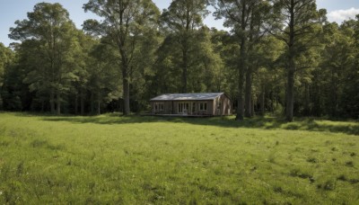 outdoors,sky,day,cloud,tree,blue sky,no humans,window,sunlight,cloudy sky,grass,ground vehicle,building,nature,scenery,forest,field,house,realistic,bush,landscape