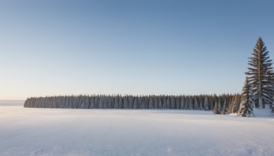 outdoors,sky,day,tree,blue sky,no humans,nature,scenery,snow,forest,mountain,winter,bare tree,landscape,gradient sky,pine tree,cloud,water,ocean,reflection,horizon,lake,sunrise