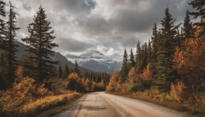 outdoors,sky,day,cloud,signature,tree,no humans,cloudy sky,nature,scenery,snow,forest,mountain,road,landscape,mountainous horizon,path,pine tree,grass,field