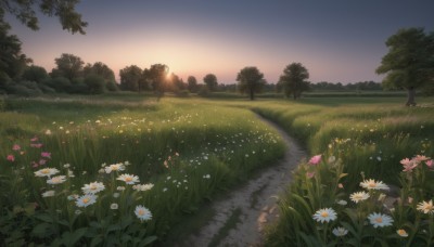 flower,outdoors,sky,cloud,tree,no humans,sunlight,grass,plant,white flower,nature,scenery,pink flower,sunset,road,bush,field,path,daisy,forest,sun,twilight,evening,landscape,gradient sky