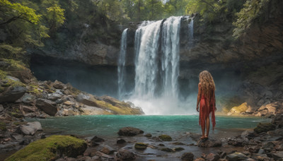 solo, standing, outdoors, day, water, from behind, tree, no humans, nature, scenery, rock, river, waterfall