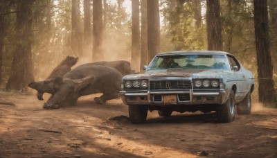 outdoors,day,tree,no humans,animal,sunlight,ground vehicle,nature,scenery,motor vehicle,forest,realistic,car,road,vehicle focus,dust,sports car,truck