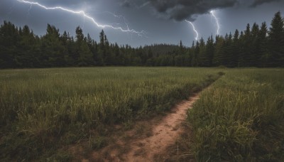 outdoors,sky,cloud,tree,no humans,night,cloudy sky,grass,nature,scenery,forest,mountain,electricity,road,field,river,lightning,landscape,path,rain,overcast