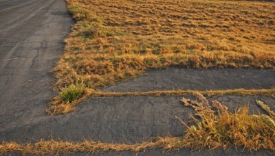 outdoors,day,tree,no humans,traditional media,grass,plant,nature,scenery,road,field,path,water,reflection